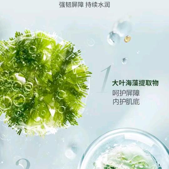 唯美植物海藻