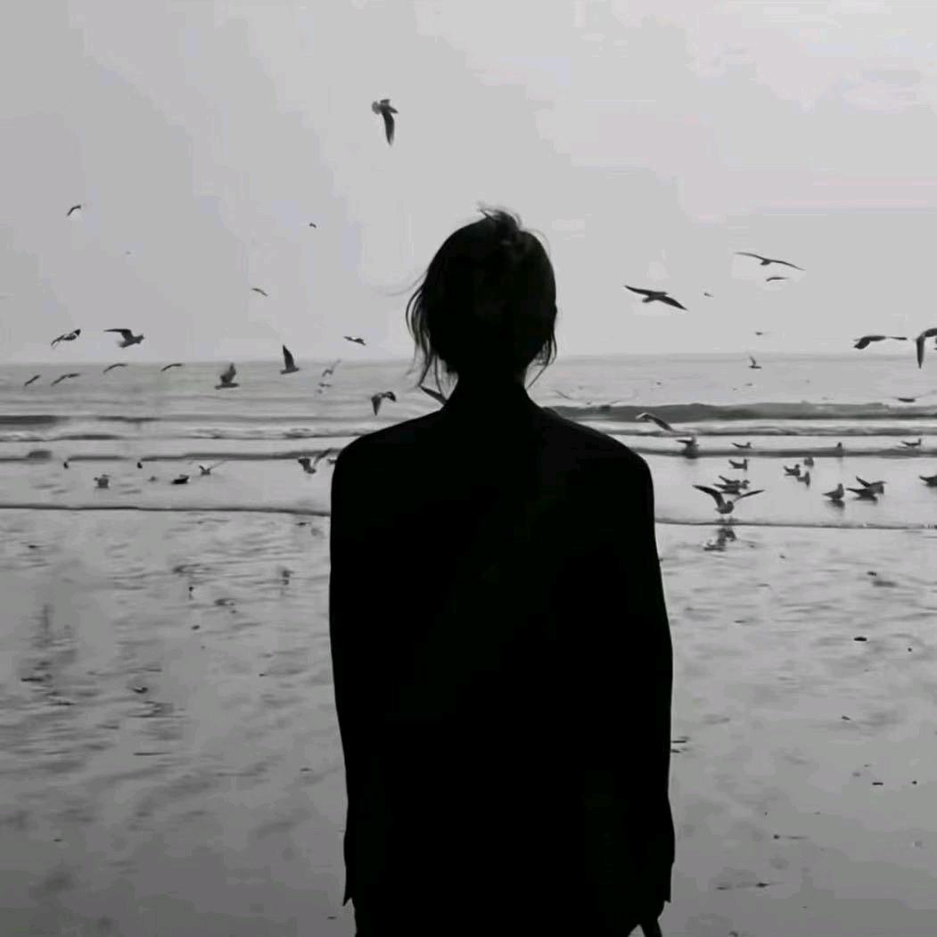茶茶🍵