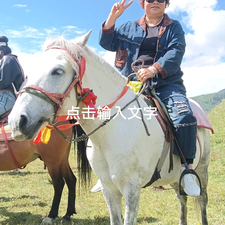 李会如