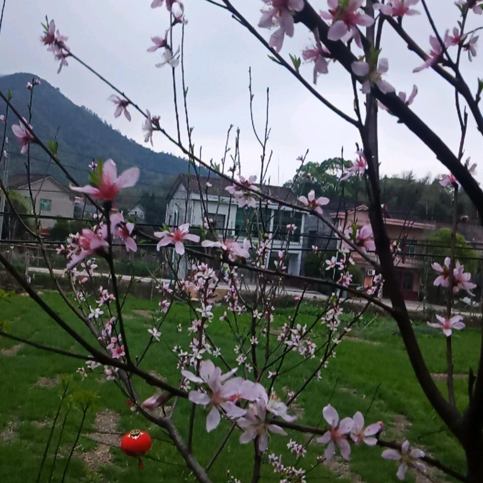 陈文志，机电一体化