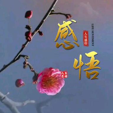 远方🌹