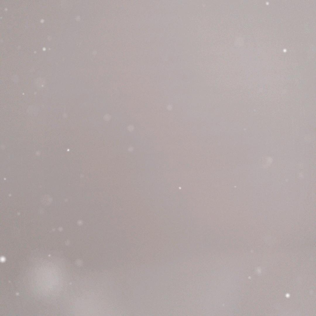 无人扶我凌云志，我自踏雪至山巅。