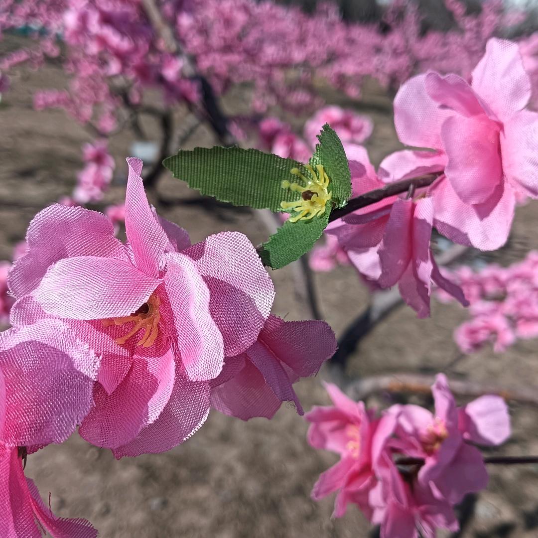 孔哥