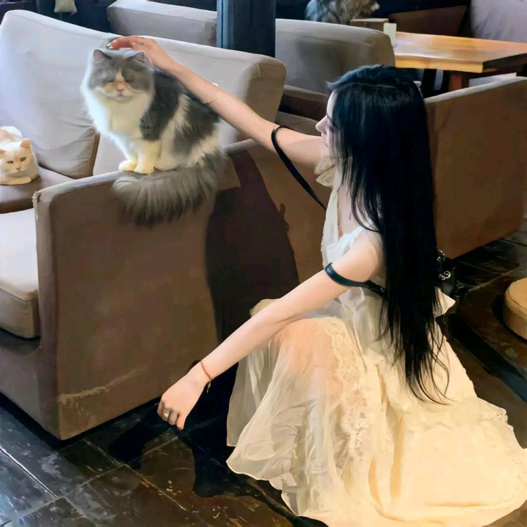 十安
