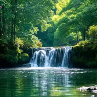 胡姐（拒绝私聊）