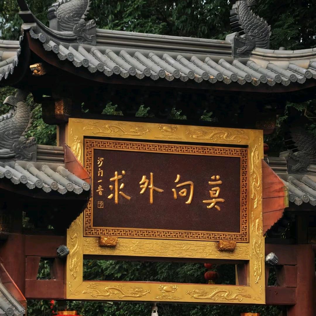 刘念杨