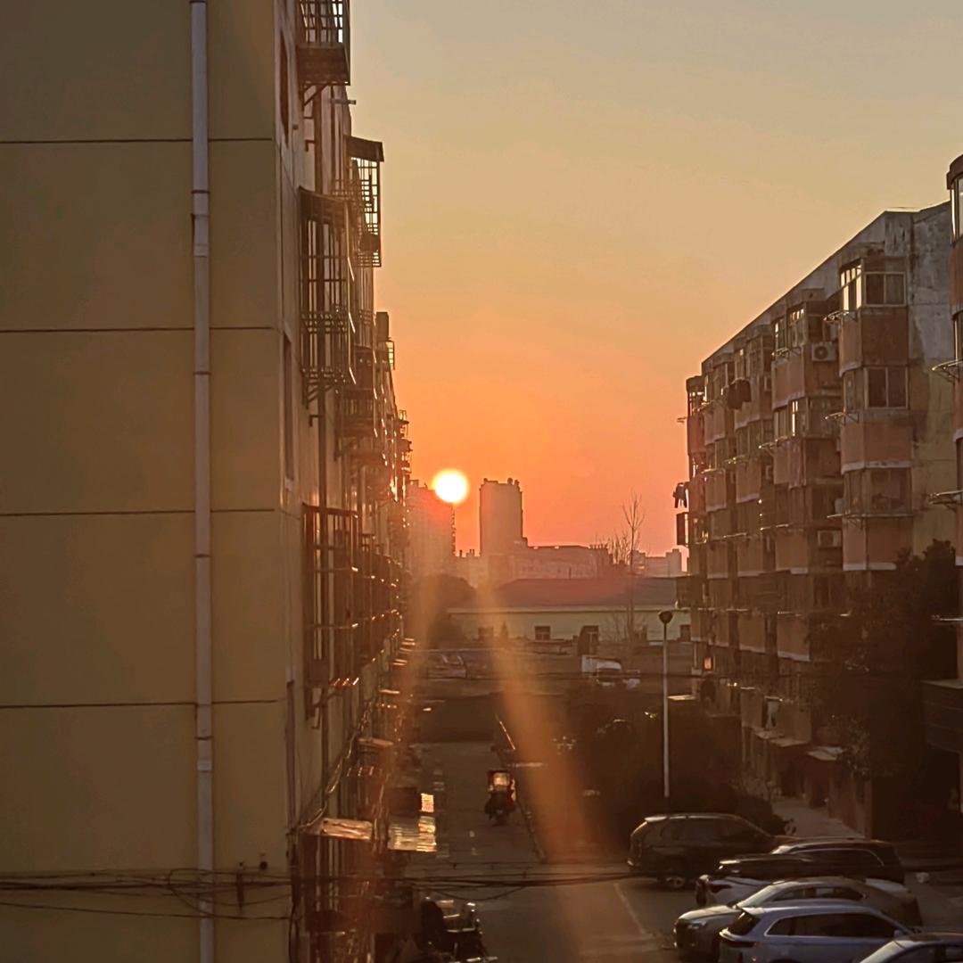 听风在说