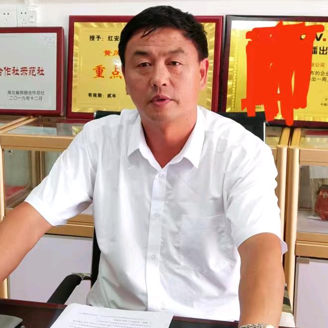 苕大哥伟杰专卖店