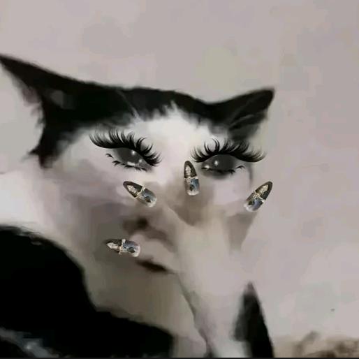 ㅤ     @（diss过谢帝版）