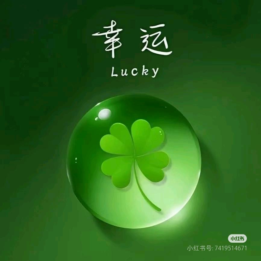 第三片雪花❄️