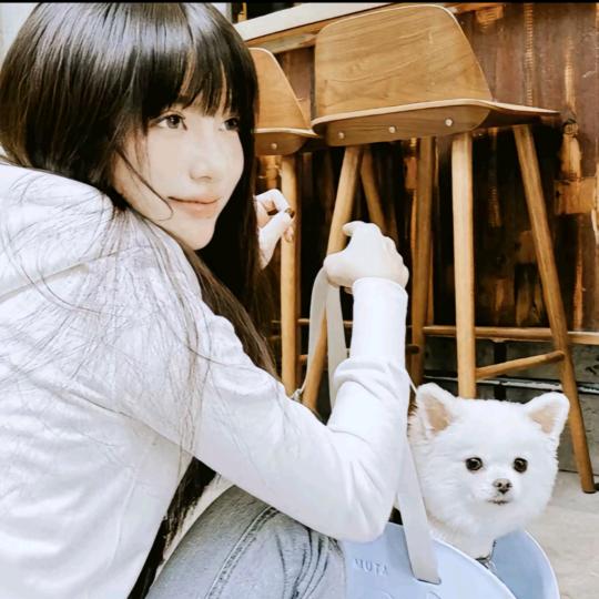 ㅤ  ㅤ ᶻxin    ㅤ