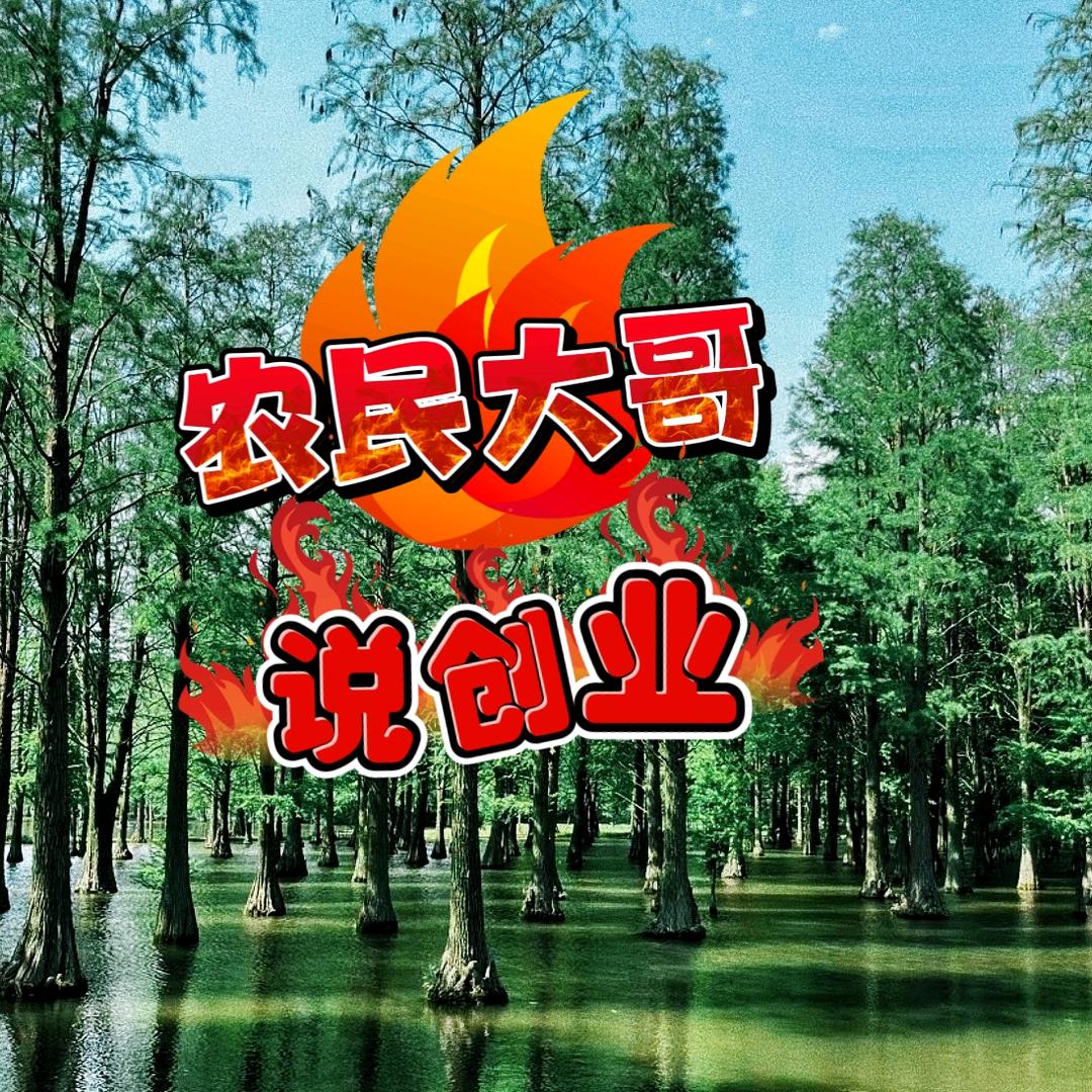 农民大哥说创业