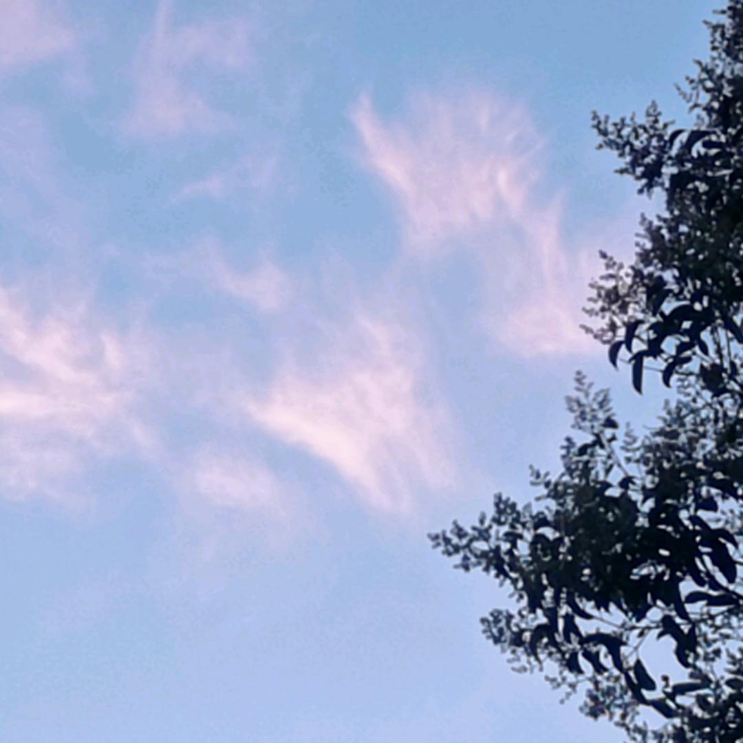 抖观天气