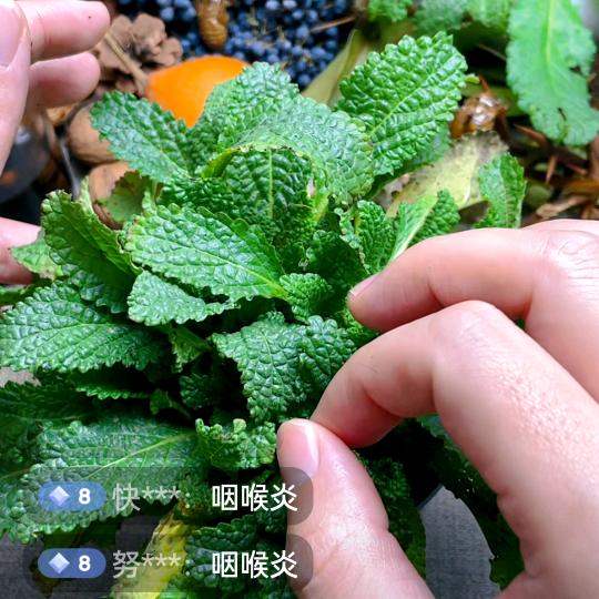 aytirzbnmahui浅笑不语