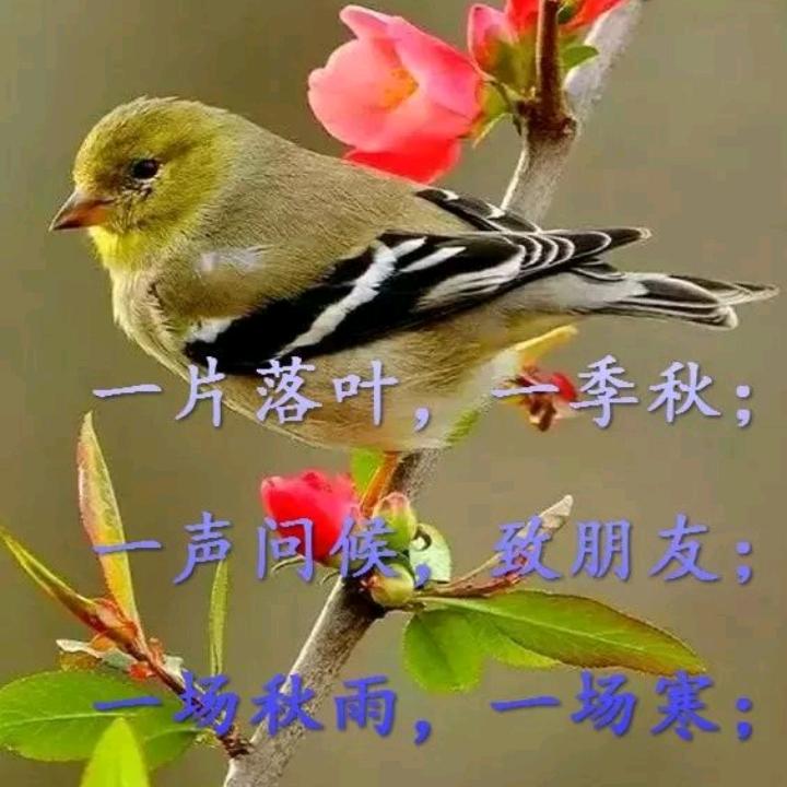 用户6619784754925感悟人生