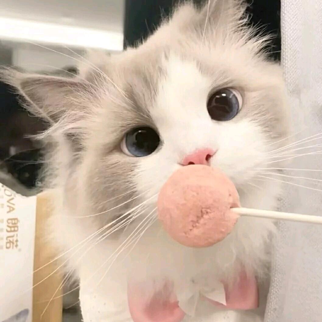 🌈雨宝💋