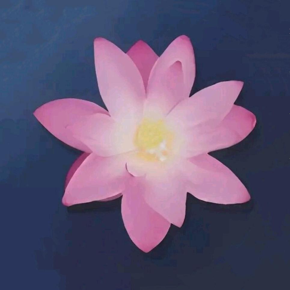 A花开富贵
