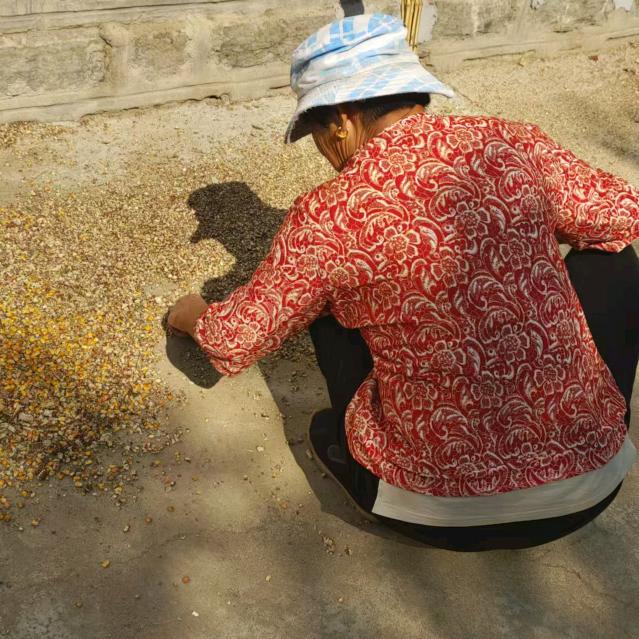 👩🏻‍🌾地里蹦