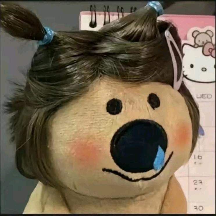 依总.