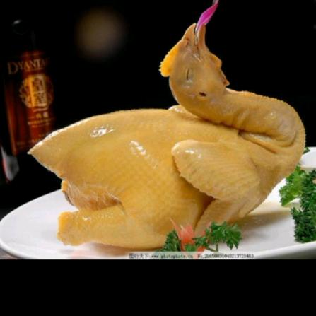 刘哥博白白切美食