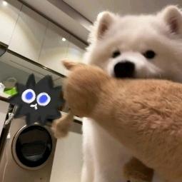 蜜蜜