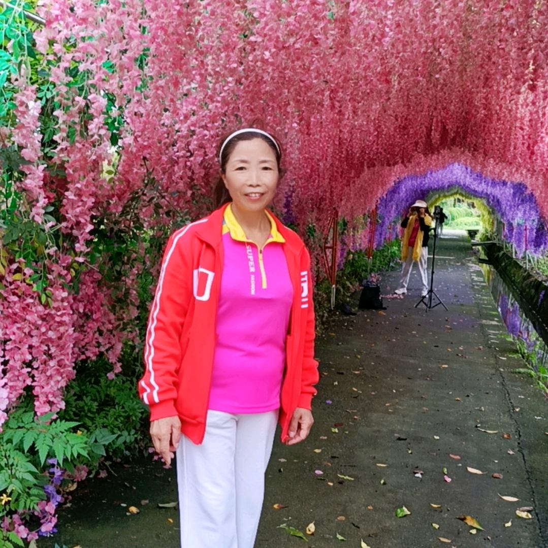 李凤姐