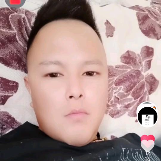 摸鱼