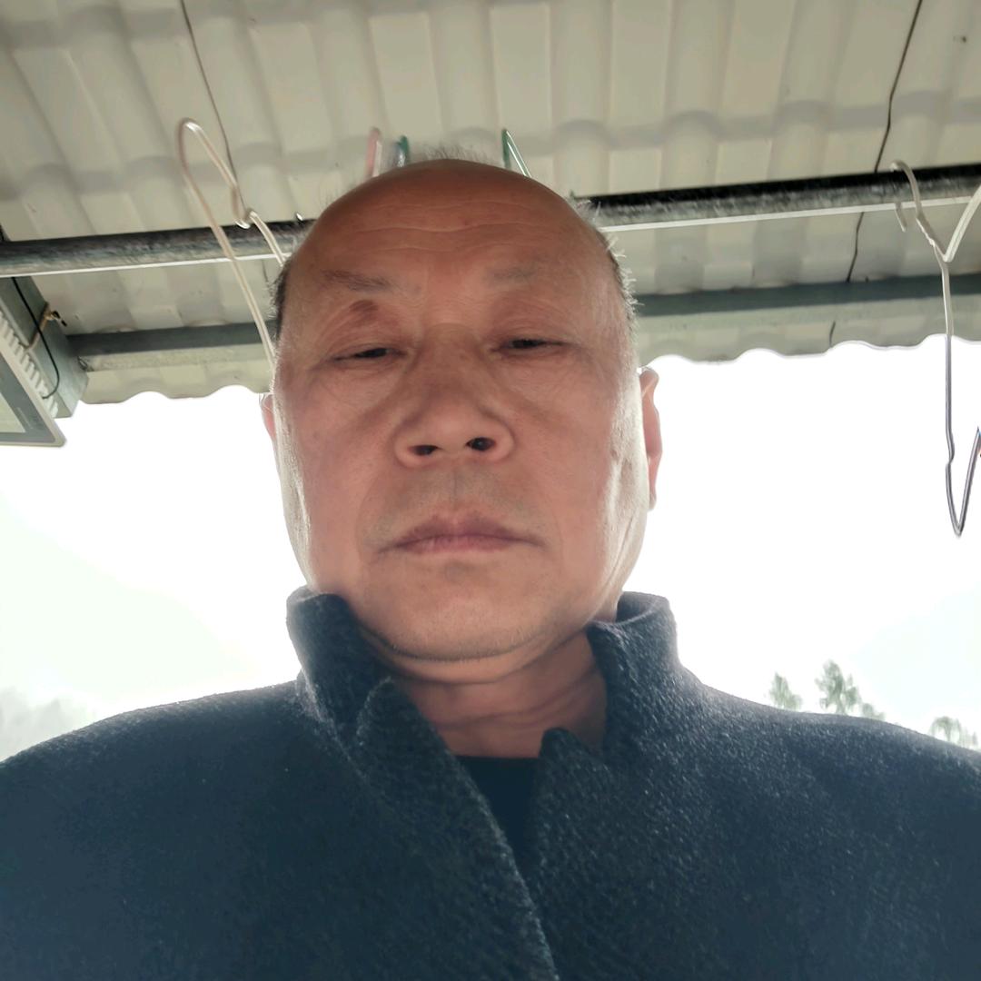 淼哥