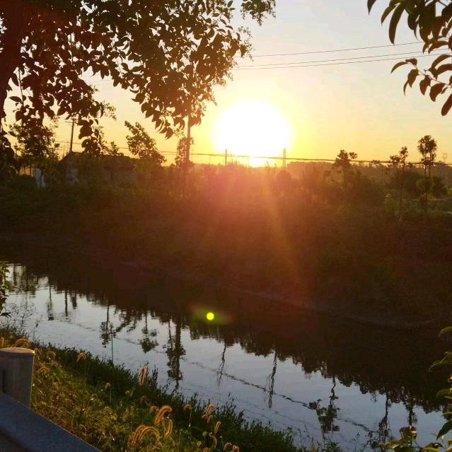 早晨的朝阳☀️