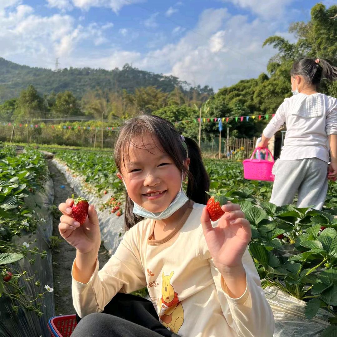 大家姐