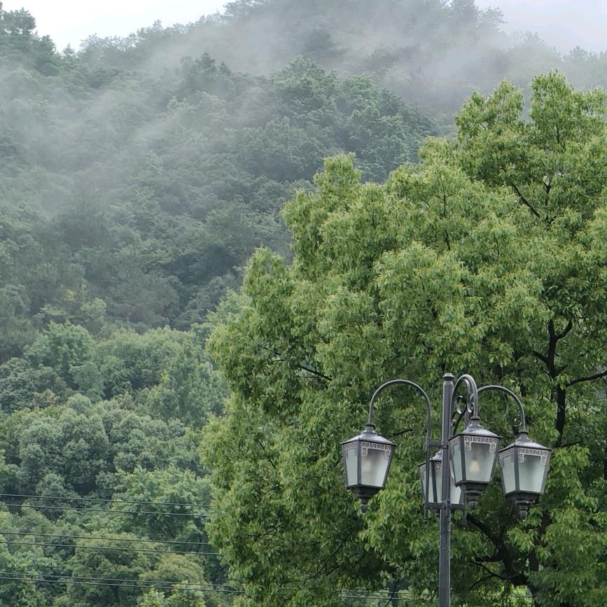 开心快乐每一天