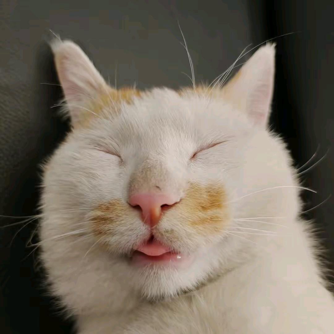 🙏👏👍💪✌👌🙈