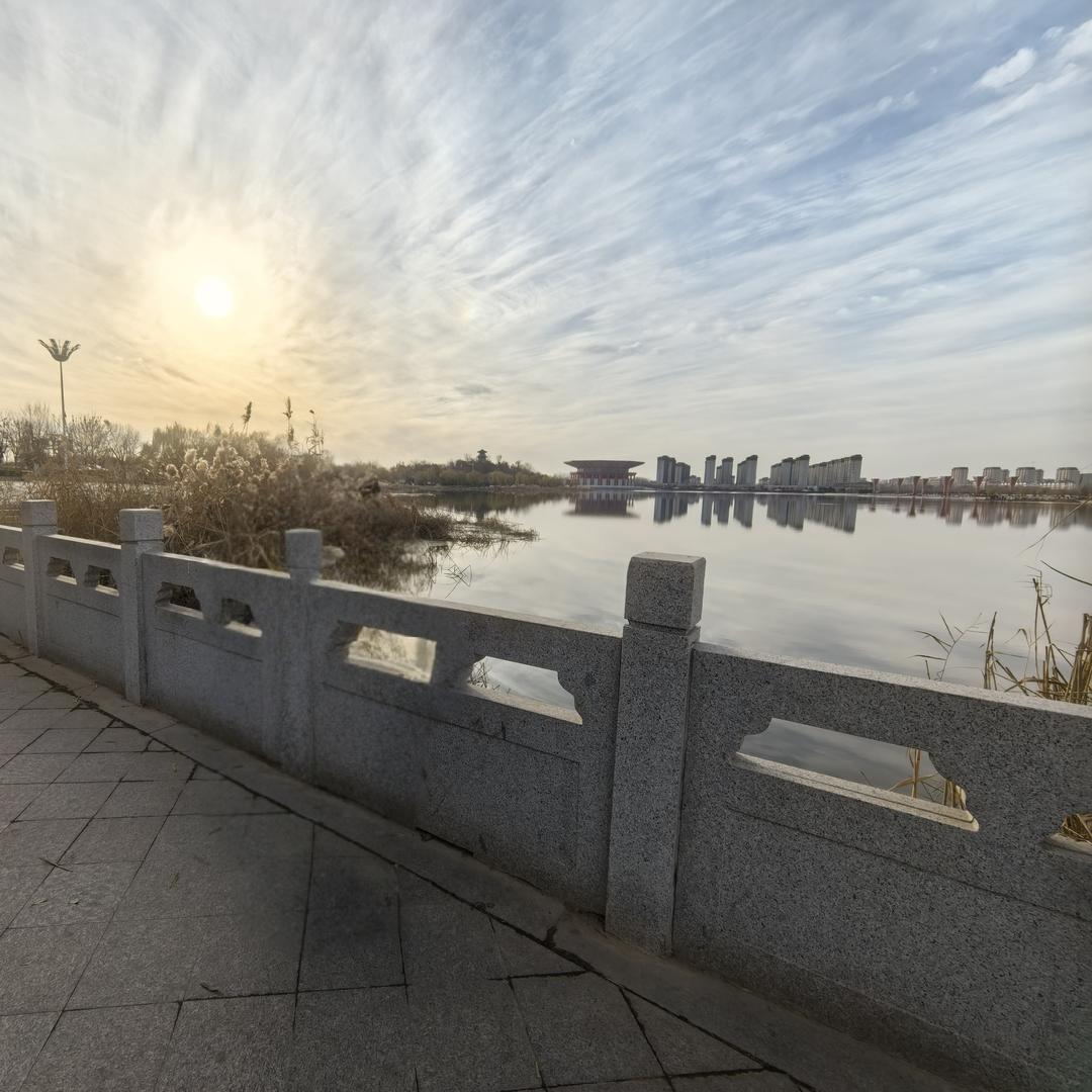 双哥
