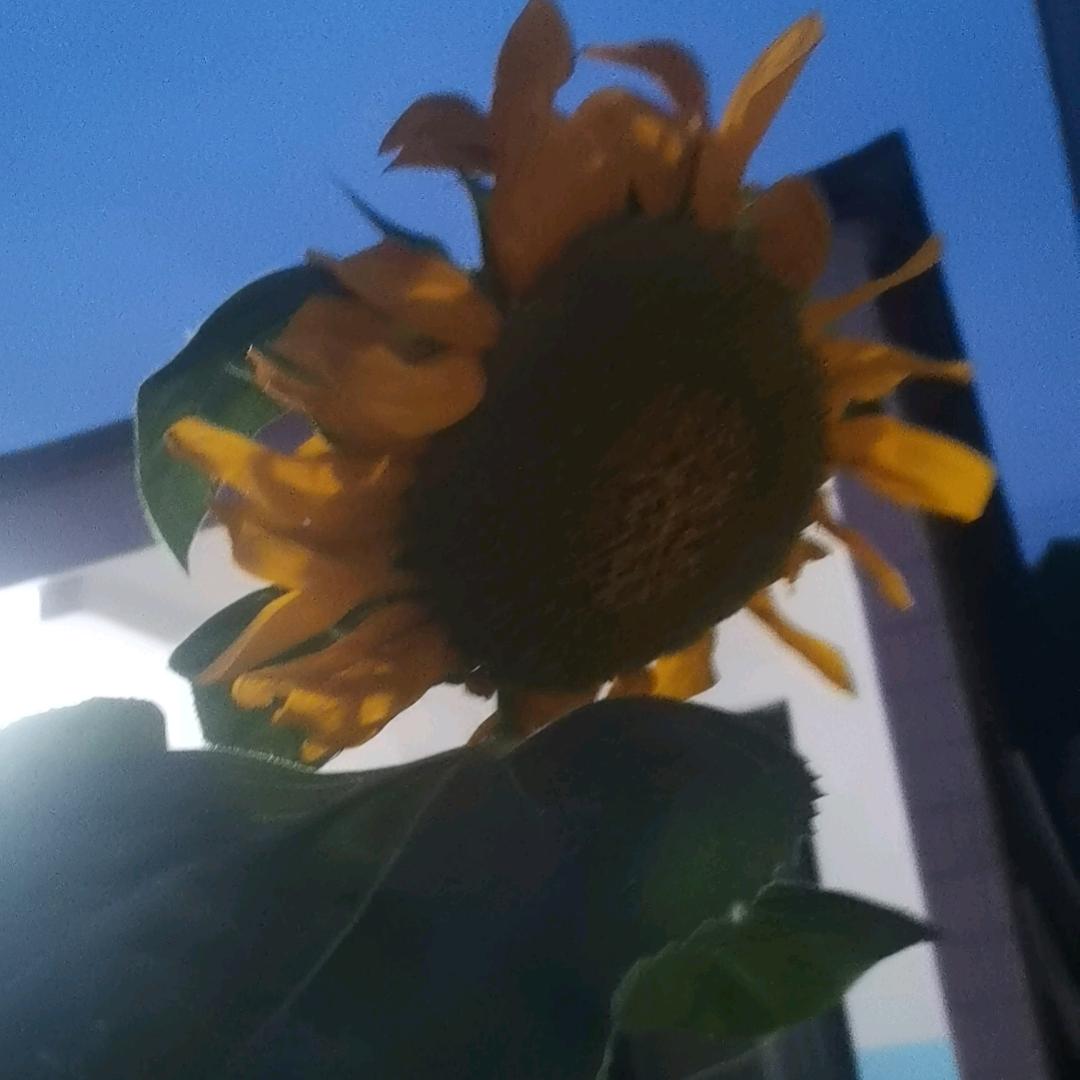 好运加满(ง •̀_•́)ง加油