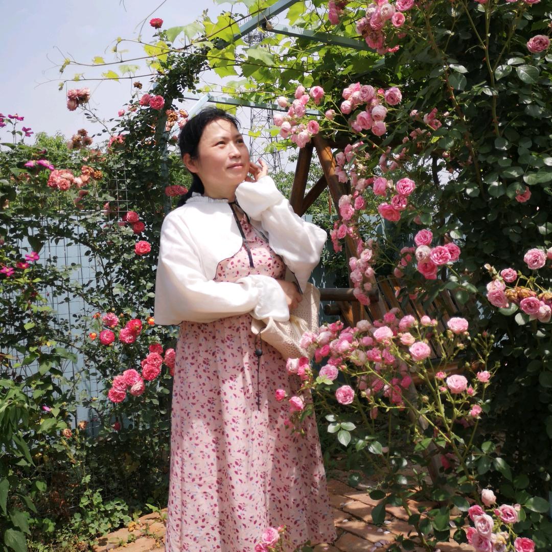 荷花姐姐1