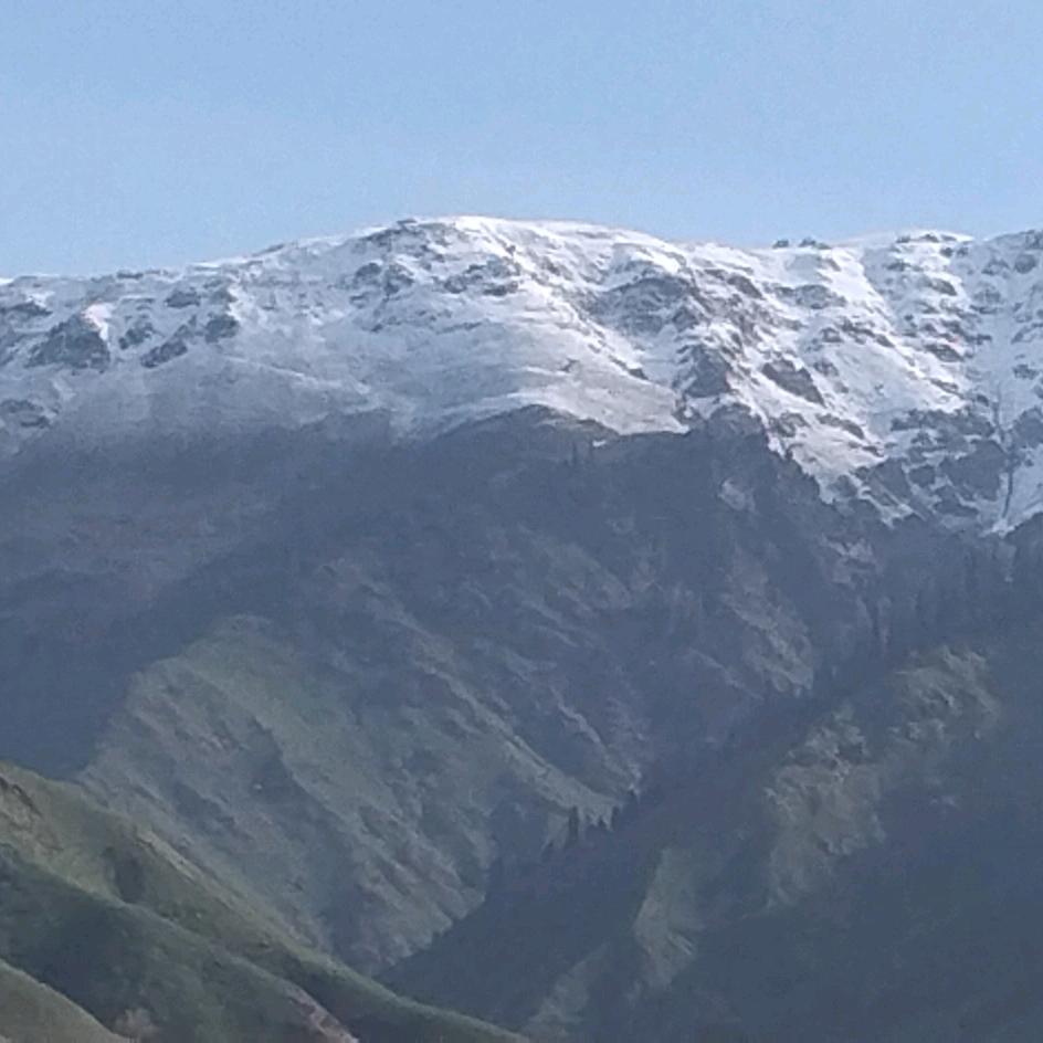 ，🐉龙行🐉🐉千里，