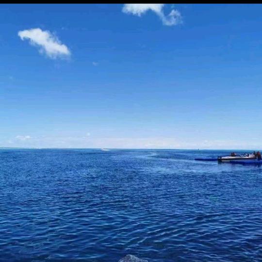 小张（首播筹备）