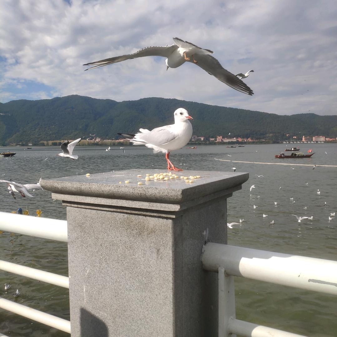 用户浓哥3879348175137