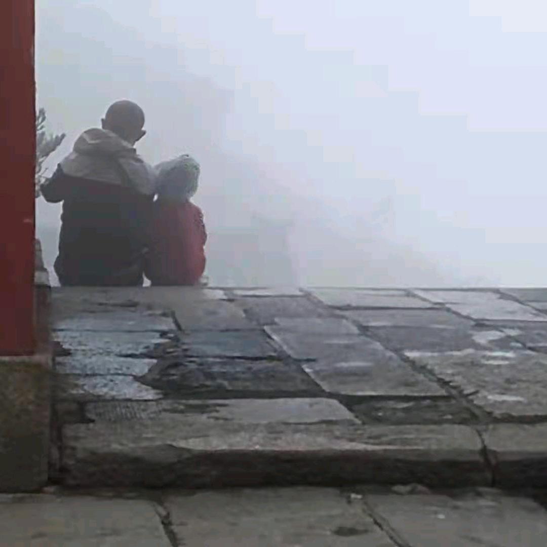 智闻人间