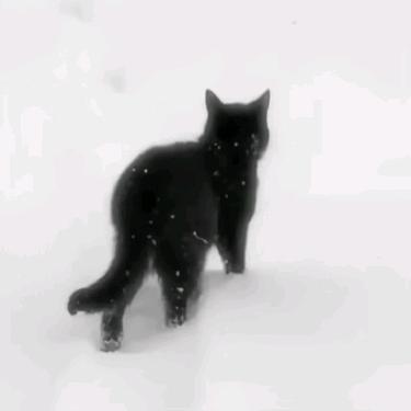 想你了
