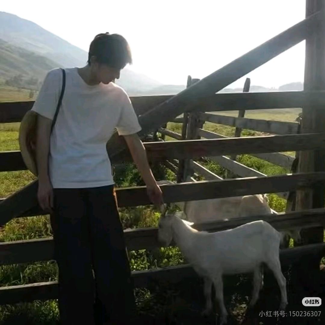 沐浴阳光为爱奋斗丶