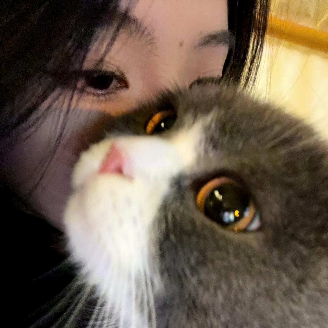 天啊天天