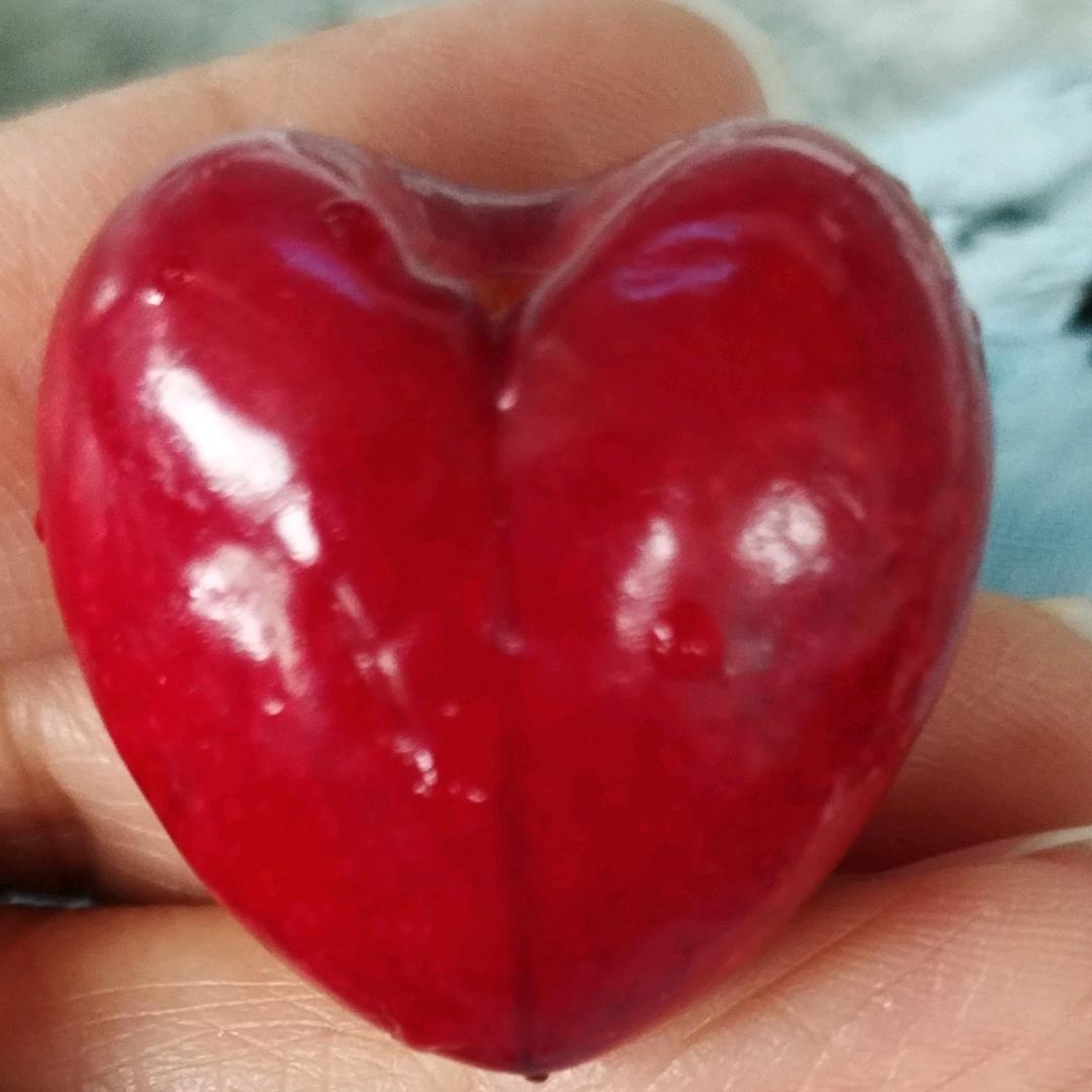 樱桃爱心❤️
