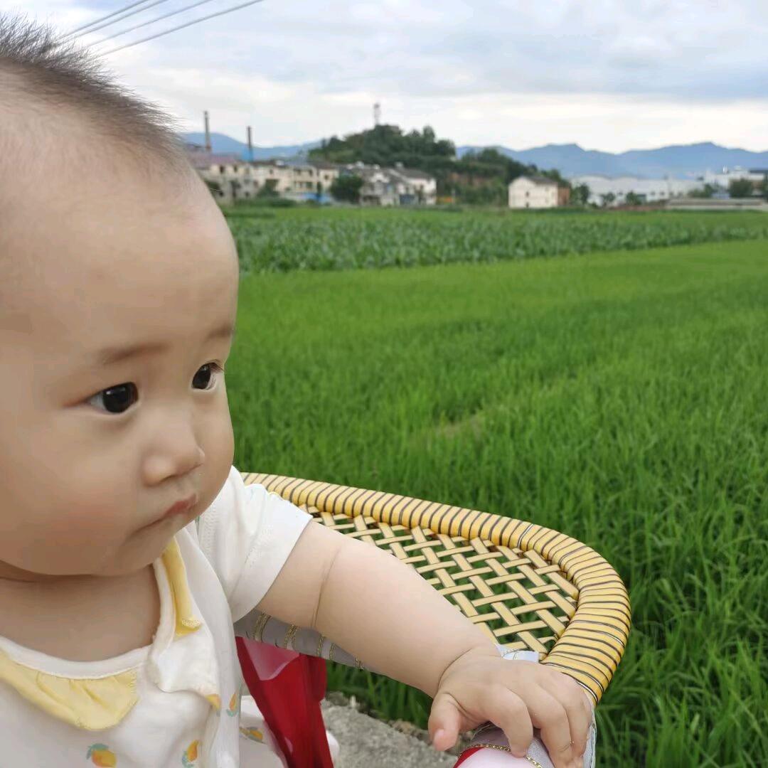 是苏苏丫🌻