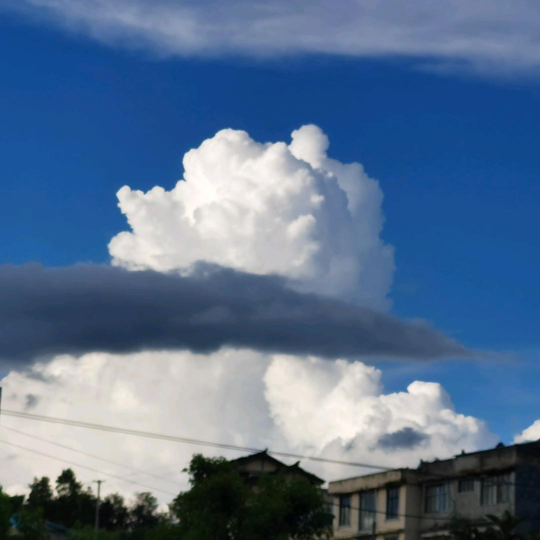 宏达驾校卢教练