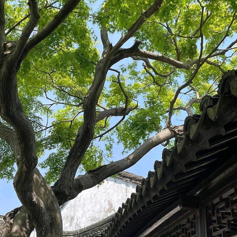 A到家了 小孙