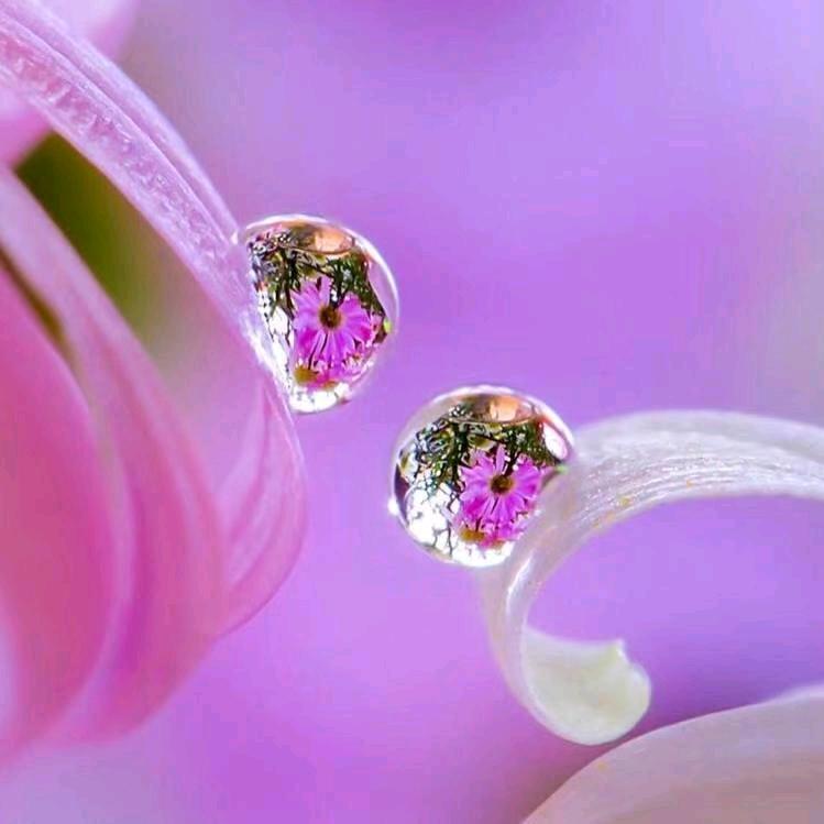 柯宇精益眼镜(松环路店)