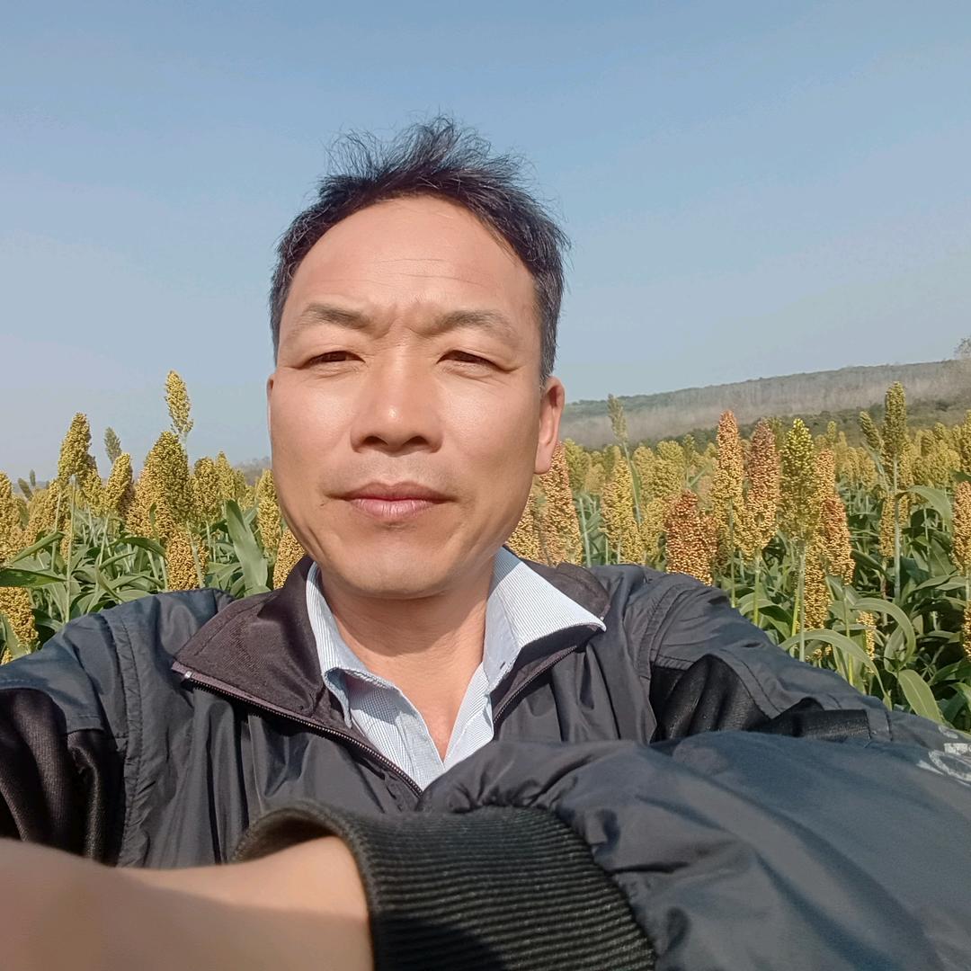 楼哥1（晚上19：20）