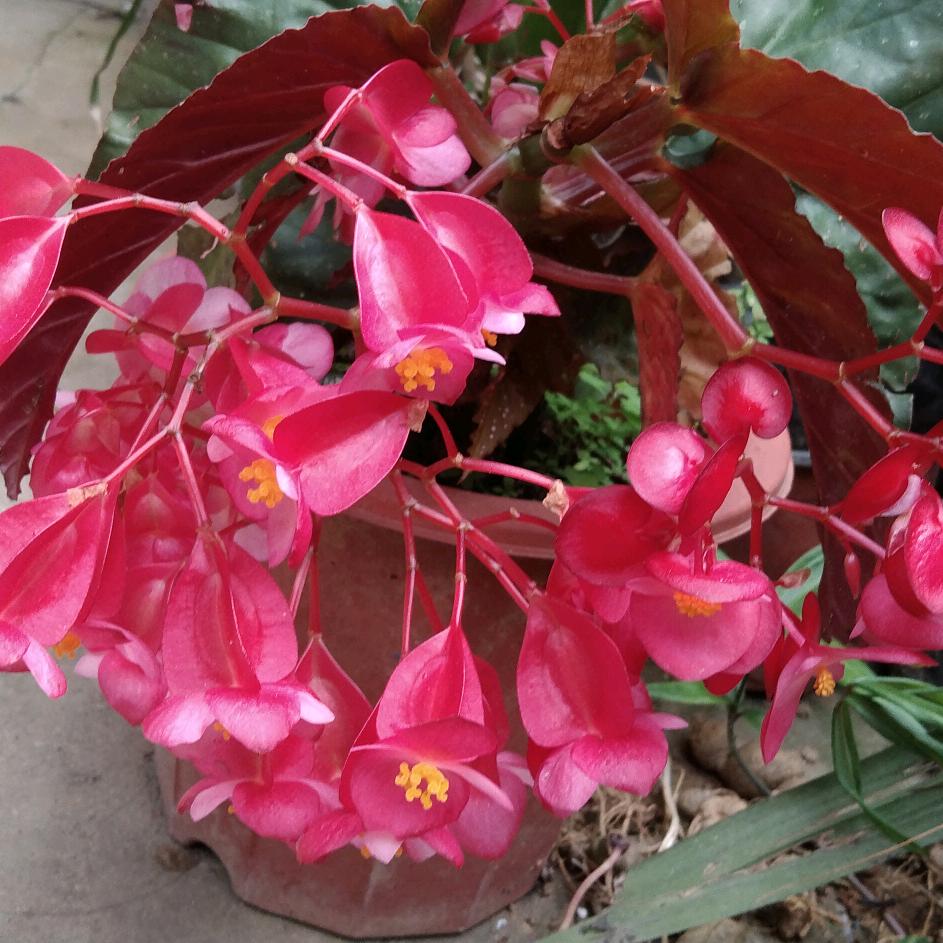 不爱我就别伤害我