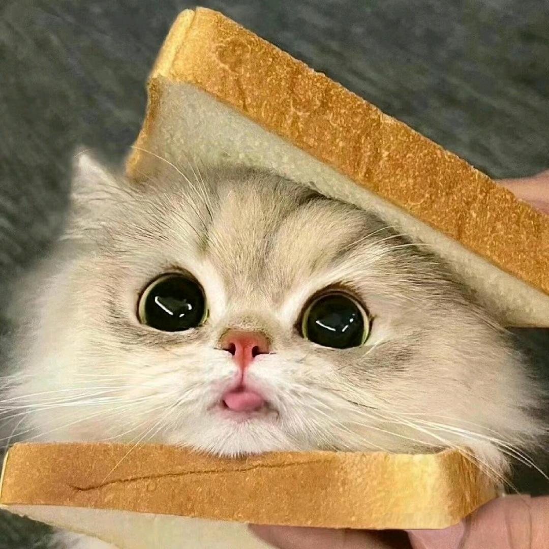 ❤